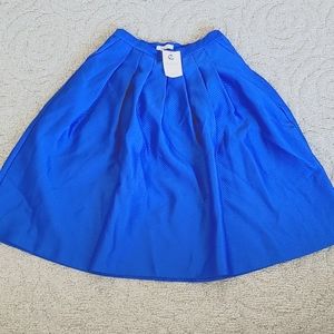 Lucy Paris Blue Skirt Pleated Size Large